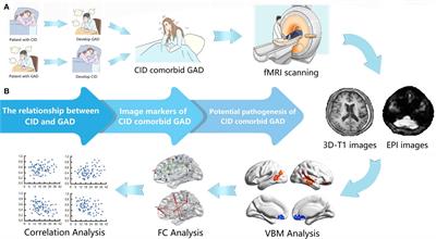 The brain in chronic insomnia and anxiety disorder: a combined structural and functional fMRI study